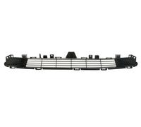 BLIC 6509-01-7703990P Grille de calandre