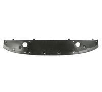 BLIC 6601-02-6001881P Spoiler