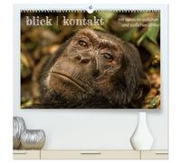 blick kontakt mit tieren im östlichen und südlichen afrika (hochwertiger Premium Wandkalender 2026 DIN A2 quer), Kunstdruck in Hochglanz: tierbeobachtungen