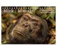 blick kontakt mit tieren im östlichen und südlichen afrika (Tischkalender 2026 DIN A5 quer), CALVENDO Monatskalender: tierbeobachtungen