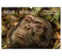 blick kontakt mit tieren im östlichen und südlichen afrika (Wandkalender 2026 DIN A3 quer), CALVENDO Monatskalender: tierbeobachtungen