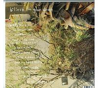 B'lieve I'm Goin' Down... by Kurt Vile [VINYL] NEUF