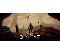 Blind Descent (Steam Account)