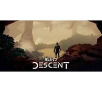 Blind Descent (Xbox Series Account)