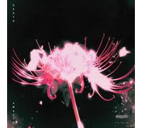 Blind Equation - Death Awaits