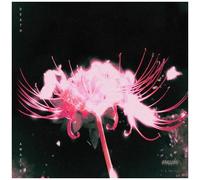 Blind Equation - Death Awaits [Compact Discs]