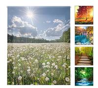 Blindecor Digital Paysages Store Enrouleur translucide avec Impression numérique Dimensions du Tissu 107 x 175 cm