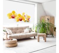 Blindecor Digital Store Enrouleur translucide avec Impression Famille Zen Modèle Z-Yellow Worchid Dimensions du Tissu 126 x 175 cm