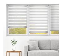 Blindecor Indus Store jour nuit sans percage | Couleur Gris argent 55 x 150 cm (L x H) | Taille du tissu 52 x 145 cm | Store enroleur fixation avec ou sans perçage