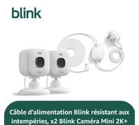 Blink - Caméra De Surveillance Indoor Outdoor Camera