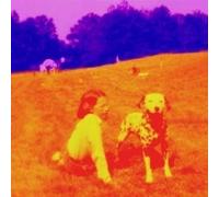 Blinking Lights And Other Revelations