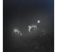 Bliss Signal - Bliss Signal, Mumdance, Wife (Vinyl) [Import]