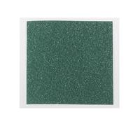 BlissfulAbode 1 film portable très flexible pour observer le champ magnétique avec motif d'observateur, détecteur de carte magnétique pour le contrôle de la qualité, vert, 50 × 50 mm