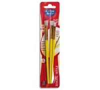 Blister de 3 brosses Color&Co en soie de porc n°8 + n°10 + n°12 G