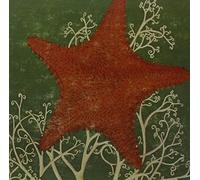 Blithe Sons - Arm of the Starfish