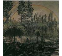 Blithe Sons, The - We walk the young earth