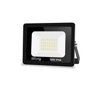 Blivrig Projecteur Extérieur 30W 3000LM IP66 Imperméable Super Brillant - Éclairage LED Blanc Froid (6000k) - Spot pour Stades, Usines, Parking, Garage, Jardin