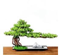 Bllhl Artificial Bonsai Tree Fake Plants,Indoor Small Decor for Home Table Office Desk Bathroom Shelf Bedroom Living Room Farmhouse Decorations (Green,Small)