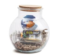 Blobarium : créer un terrarium pour blob