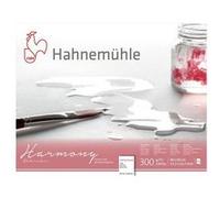 Bloc Aquarelle Grain Fin Harmony 300 G Sur M² 12f