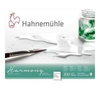 Bloc Aquarelle Grain Satiné Harmony 300 G Sur M² 12f