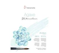 Agave Watercolour Lot de 12 feuilles de 290 g/m² 24 x 32 cm