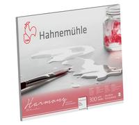 Hahnemuhle Harmony Bloc aquarelle 12 feuilles 40 x 50 cm Grain fin
