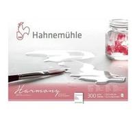Bloc aquarelle Harmony 300g/m2 12feuilles grain fin A3 - Hahnemühle