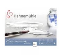 Bloc Aquarelle Harmony 300g/M2 12feuilles Grain Torchon 30x40cm - Hahnemühle
