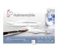Bloc Aquarelle Harmony 300g/M2 12feuilles Grain Torchon A3 - Hahnemühle