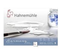 Bloc aquarelle Harmony 300g/m2 12feuilles grain torchon A4 - Hahnemühle