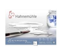 Bloc aquarelle Harmony 300g/m2 12feuilles grain torchon A4 - Hahnemühle