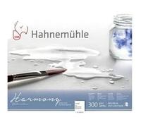 Bloc aquarelle Harmony - Grain torchon - 40x50cm - 300g/m2 - 12feuilles - Hahne