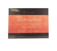 Bloc aquarelle Watercolour 300g/m2 10feuilles grain satiné 30x40cm - Hahnemühle