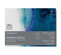 Winsor & Newton – Bloc aquarelle professionnel 22,9 x 30,5 cm 300 g grain torchon 20 feuilles