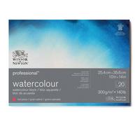 Bloc aquarelle Winsor et Newton 25,4 x 35,6 cm 300g grain satiné 20 feuilles
