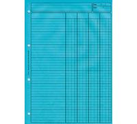 BLOC AUDIT 4 COL.+ EN-TETE 297X210 80 P. BLEU DOSSIER RECTO