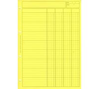 BLOC AUDIT 4 COL.+ EN-TETE 297X210 80 P. JAUNE DOSSIER RECTO