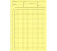 Bloc 80 feuilles de travail audit, matrice pour controle interne jaune G