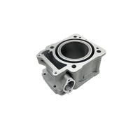Bloc-cylindres de moteur de moto et accessoires de manchon de segment de Piston compatibles avec ZS174FMM CBS300 BSE M6 KAYO KEWS(CYLINDER BLOCK)