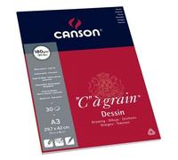 Canson-Infinity – Bloc papier dessin 'C' à grain – 30 feuilles – A3 – 180 g/m²
