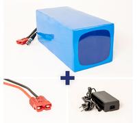 Bloc de batteries lithium-ion 24V 80Ah 60A