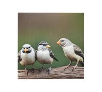 Bloc de briques de construction à imprimé trois oiseaux - Blocs de construction carrés créatifs - Décoration de bureau