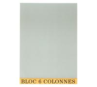 Bloc de contrôle comptable 6 colonnes Exacompta 5706E