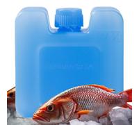 Bloc de glace, bloc de refroidissement intérieur, portable et étanche pour hayon de voyage, camping-car, pique-nique, voyage, école, allaitement, hôpital, plage, camping, aventures