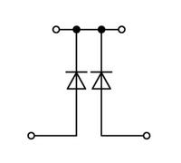 Bloc de jonction à diode à 2 étages WAGO 870-541/281-489 5 mm ressort de traction Affectation: L gris 50 pc(s)