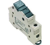 Bloc de jonction à fusible Weidmüller WSI 25/1 CC 1966050000 beige foncé 12 pc(s)