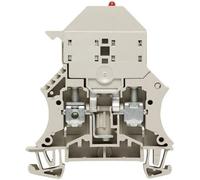 Bloc de jonction à fusible Weidmüller WSI 6/LD 10-36V DC/AC 1011300000-1 beige foncé 1 pc(s)