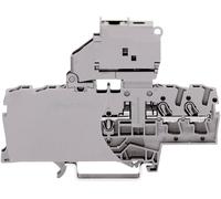 Bloc de jonction à fusibles WAGO 2002-1811 6.20 mm ressort de traction Affectation: L gris 1 pc(s)