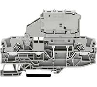 Bloc de jonction à fusibles WAGO 2006-1611 7.50 mm ressort de traction Affectation: L gris